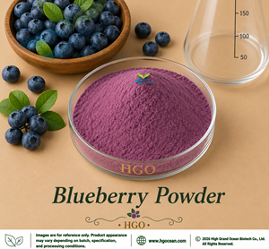 HGO Factory Direct Supply Natural Spray <b>Dried</b> <b>Blueberry</b> Powder (Food Grade) Fruit Powder Spray Drying or <b>Freeze</b>-<b>dried</b> powder - Product Image 1