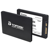 Topdisk Solid State Drive (SSD) Berkualitas Tinggi 120GB 128GB 240GB 256GB 480GB 512GB 960GB 1TB 2TB