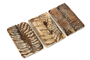 Plato de Cuerno de Carnero Natural Ecológico Hecho a Mano con Diseño Personalizado para Manija de Puerta de Cocina - Product Image 5