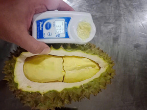 Vietnam Frozen Durian Meat Made from Ripe Tropical Fruit for Dessert Making <b>Bakery</b> Filling and Foodservice Wholesale Supply - Product Image 3