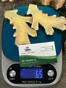 Proveedor Premium de Jengibre Fresco de Vietnam para Empresas Importadoras de Alimentos que Buscan Exportación de Carga de Contenedores Estable - Product Image 2