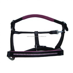Venta al por mayor de productos de calidad superior caballo suave acolchado de cuero de lujo Halter con Bling cristal decorativo para montar - Product Image 1