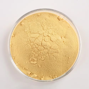 Extrait de levure de qualité supérieure 100 % pur et naturel, poudre aromatisante à base de levure, riche en protéines, acides aminés et nutriments, provenant d'Inde - Product Image 1