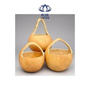 Meilleures ventes : Bols en calebasse écologiques faits à la main pour le service des aliments et la décoration rustique de la maison, en provenance du Vietnam - Product Image 1