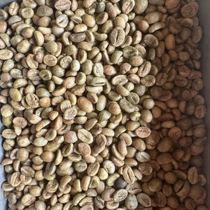 Premium Vietnam Robusta Green Coffee <b>Beans</b> Size 18 Vietnam coffee Instant Bulk Export High Caffeine Coffee Supplier - Product Image 2