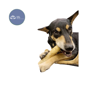 [MEILLEURES VENTES] |   Jouet à mâcher durable en bois de café pour chien, vente en gros, sûr pour le nettoyage des dents des animaux, bâton interactif, Vietnam - Product Image 1