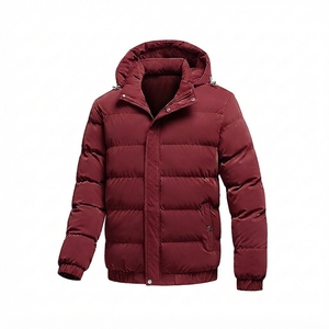 Manteau d'hiver à capuche pour homme, couleur unie, épais et chaud, vêtement d'extérieur décontracté avec fermeture éclair et poches 2026 XS-3XL - Product Image 5