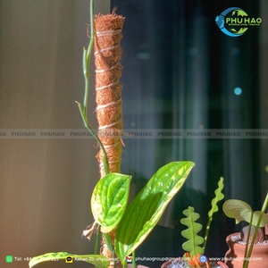 Cinta de Fibra de Coco Natural Marrón para Plantas Trepadoras y Jardinería, de Alta Calidad y Buen Precio - Product Image 2