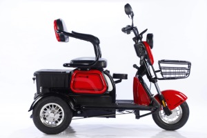 รถสามล้อไฟฟ้าสำหรับครอบครัว 600W ขายส่ง พร้อมคอนโทรลเลอร์ 12 ท่อ แบตเตอรี่ตะกั่วกรด ระยะทางไกล - Product Image 2