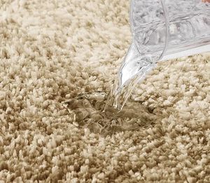 Tapis de salle de bain de luxe personnalisé, tapis de bain en microfibre extra doux et absorbant, tapis de bain antidérapant en fourrure moelleuse - Product Image 2