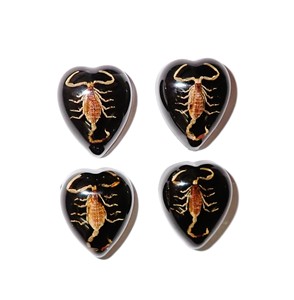Golden Scorpion Real Specimen Plastic Cabochon <b>Heart</b> 17x21 mm <b>Black</b> Flat Bottom for Crafts and Jewelry Making - Product Image 1