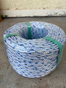 Corde de pêche en PP Danline bleue et blanche de 660 mètres, 1/4 pouce, 5/16 pouce, 3/8 pouce, 16 mm, 18 mm pour la pêche marine sur le marché philippin - Product Image 4