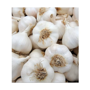 Ail blanc indien frais de qualité supérieure, bulbes à l'arôme naturel intense, idéal pour la cuisine et la transformation alimentaire, disponible en gros - Product Image 4