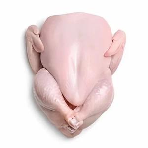Pollo Congelado Halal al por Mayor, Carne de Pollo de Alto Estándar para Exportación y Distribución al por Mayor - Product Image 1
