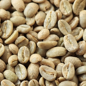 Granos de Café Robusta Vietnamita Auténticos, Aroma Fuerte, Sabor Rico, Proceso Natural, Calibre 14, Alta Calidad, Granja de Vietnam - Product Image 1