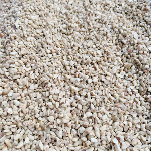 Premium Processing Split Cashews SANTIGO Kaju Badam ISO, HACCP Broken Cashew <b>Nuts</b> <b>Kernels</b> - Product Image 3