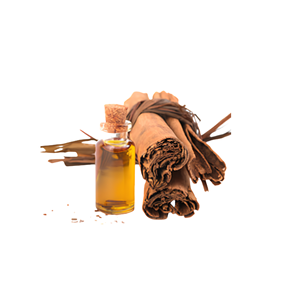 Hot Sale Best Quality Vietnam Manufacturer Supply Low Price Cassia Bark <b>Essential</b> <b>Oil</b> Packed in 1L Bottle - Product Image 3