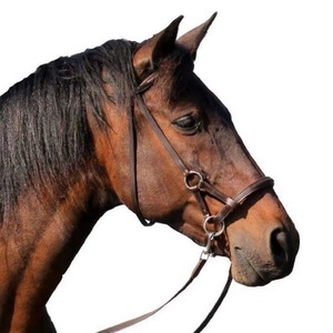 Brida de Polo para Montar a Caballo, Cuero Genuino, Ajustable, Acolchado Suave, Hebillas Reforzadas, Tamaño y Color Personalizables para Mayor Comodidad - Product Image 3