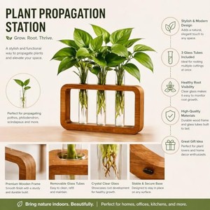 Jardinière décorative en bambou écologique fabriquée à la main avec tubes en verre - Vente en gros depuis l'Inde - Product Image 3