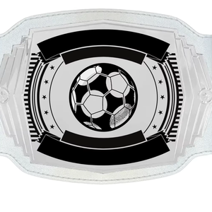 Cinturones personalizados legendarios Títulos de campeón personalizados para todos los deportes Juegos de boxeo de cuero Cinturones de título Premium - Product Image 1