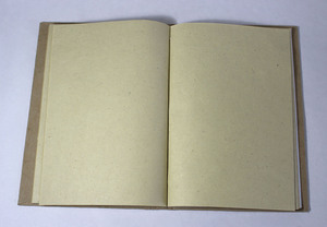 Wholesale <b>Customized</b> Printed Recycled Handmade Acid Free Hemp Fiber Paper Hardcover <b>Diary</b> 10x7 Inches Natural Color Glue Bound - Product Image 3