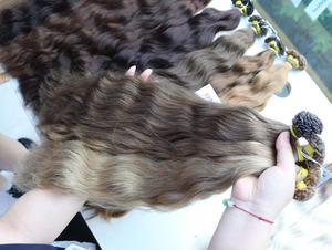 Meilleures ventes 100 grammes Remy Kératine Tip Extensions de cheveux humains vietnamiens par NASA Hair 60cm Natural Wave Toutes les couleurs disponibles - Product Image 4