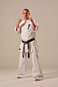 Uniforme de Karate Bordado Personalizado, Traje de Entrenamiento de Artes Marciales para Práctica Profesional - Product Image 2