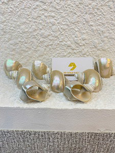 Anneau de serviette fait main au Vietnam, porte-serviettes, porte-anneau par snail & seashell pour la décoration de table de banquet sur le thème de l'océan - Product Image 2