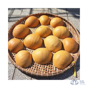[MEJOR PRECIO] |   Cuenco de calabaza hecho a mano, recipiente de calabaza seca para decoración de mesa, plato para sopa y ensalada de Blue Lotus Farm - Product Image 1
