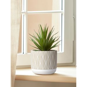Succulenta Artificiale Realistica da 20 cm in Vaso Stile Rustico per Decorazione Casa, Ufficio e Mensole - Pianta Verde per Casa e Ufficio - Product Image 2