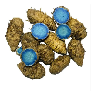 Cúrcuma Negra Fresca de Grado de Exportación (Curcuma Caesia) |   Kali Haldi 100% Puro de Cultivo Natural para Uso Multipropósito |   Proveedor Mayorista - Product Image 1