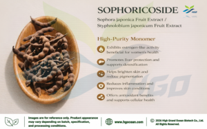 Suministro directo de fábrica HGO, extracto de fruta Sophora japonica Natural puro/extracto de fruta Styphnolobium japonicum Sophoricoside 13% - Product Image 5