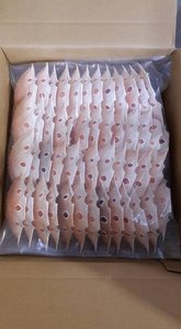 Coquilles de crabe séchées en vrac, qualité d'exportation - Katty - Product Image 3