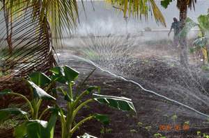 Tuyau d'irrigation résistant aux UV de 32 mm, résistant aux produits chimiques, tuyau plat pour utilisation agricole à long terme, rouleau de 100 mètres - Product Image 4