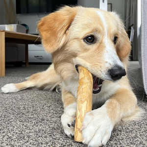 QM GLOBAL Bâton à mâcher pour chien en bois de café écologique et durable - Saveur naturelle, testé en UE, tailles : Petit/Moyen/Grand/Très Grand - Product Image 3