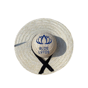 Sombrero Mexicano de Paja Natural en OFERTA para Fiestas, Restaurantes Temáticos Mexicanos, Accesorios para Fotos y Mercado Internacional - Product Image 1