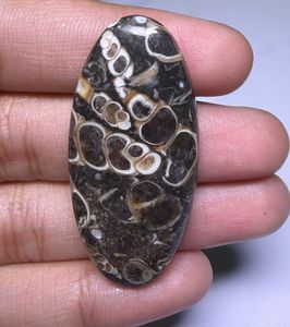 หินอาเกต TURRITELLA แบบคาโบชอง ขายส่งเป็นล็อตตามน้ำหนัก มีรูปทรงและขนาดต่างๆ ใช้สำหรับทำเครื่องประดับ - Product Image 2