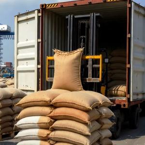 Semillas de Sésamo Blanco Descascarilladas con una Pureza del 99.98%, Calidad Premium, Suministro a Granel en Bolsas de Yute de 25kg/50kg, de Gujarat - Product Image 4