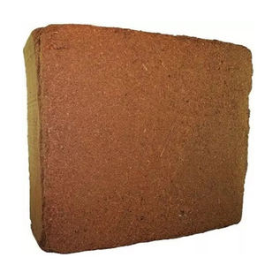 Coco peat de qualité supérieure, doublement lavé, pour l'horticulture - Product Image 4