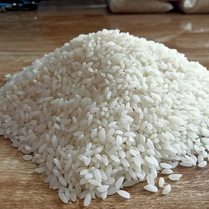 Arroz Blanco Swarna Crudo Indio Saludable y Sabroso, Grado Superior, Certificado ISO, Textura Suave, Grano Corto, Seco, a Precio de Mayoreo - Product Image 1