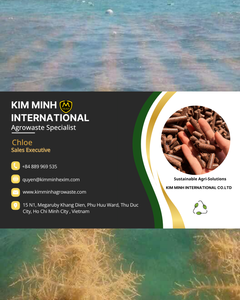 สาหร่ายกราซิลเลียแห้ง KMI จากเวียดนาม สำหรับการผลิตวุ้น ปริมาณมาก ราคาแข่งขันได้ - Product Image 6