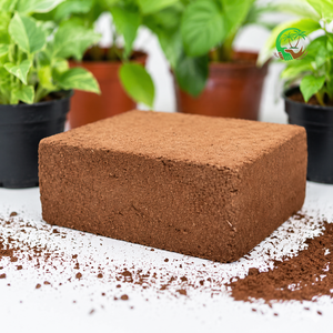 Bloques de Fibra de Coco Premium de 5 kg, Bajo en Sal, Expansión de 90L, Exportador al por Mayor, Proveedor, Oferta en Contenedores - Product Image 1