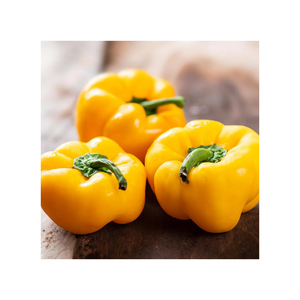 Poivrons jaunes frais cultivés naturellement pour les restaurants, les services de traiteur et les cuisines domestiques - Product Image 5