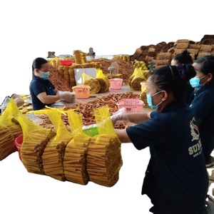 Canela Cassia Sticks de Vietnam Buen precio Especias Venta al por mayor YEN BAI Cassia 2025 Condimentos - Product Image 1