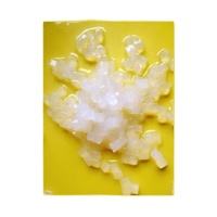 Collection de cubes de gelée de coco Nata de Coco de l'île d'Or du Mekong - Product Image 3