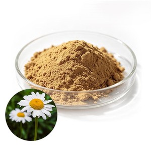 Polvo de Manzanilla de Primera Calidad, Grado Alimenticio, Ingrediente Herbal, Fabricante de Polvo de Manzanilla OEM ODM, Marca Privada - Product Image 6