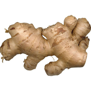 Gingembre frais et gingembre séché à l'air, nouvelle récolte, exportateurs en gros avec prix du marché des racines de gingembre - Product Image 2