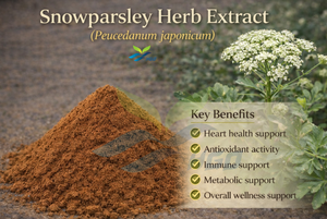 Suministro Directo de Fábrica HGO de Extracto Puro y Natural de Perejil de Nieve (Peucedanum japonicum) Grado Alimenticio, Extracto en Proporción 10:1 - Product Image 5