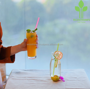 Alta calidad Biodegradable Ecosstraws Paja Arroz Beber Obleas Vietnam Venta al por mayor Muestra gratis Eco-Friendly Caja de cartón de embalaje - Product Image 2