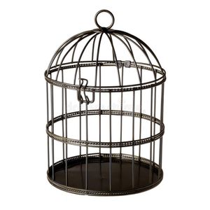 Cage à oiseaux en métal robuste pour l'élevage d'oiseaux en intérieur et en extérieur, avec finition de surface revêtue de poudre imperméable - Product Image 3